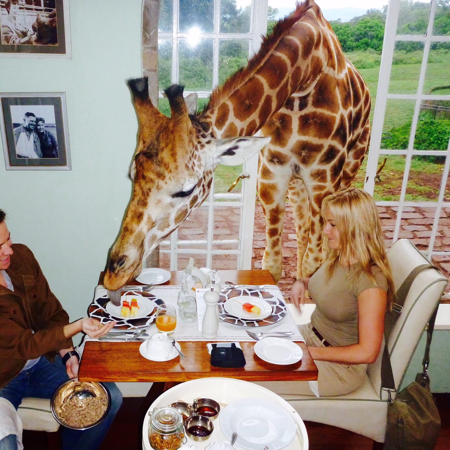 Giraffe Manor, Kenya, East Africa